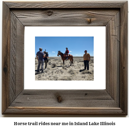 horse trail rides near me in Island Lake, Illinois